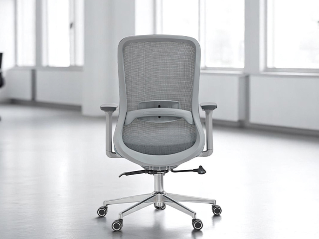 WEB ROUND MID BACK BG2