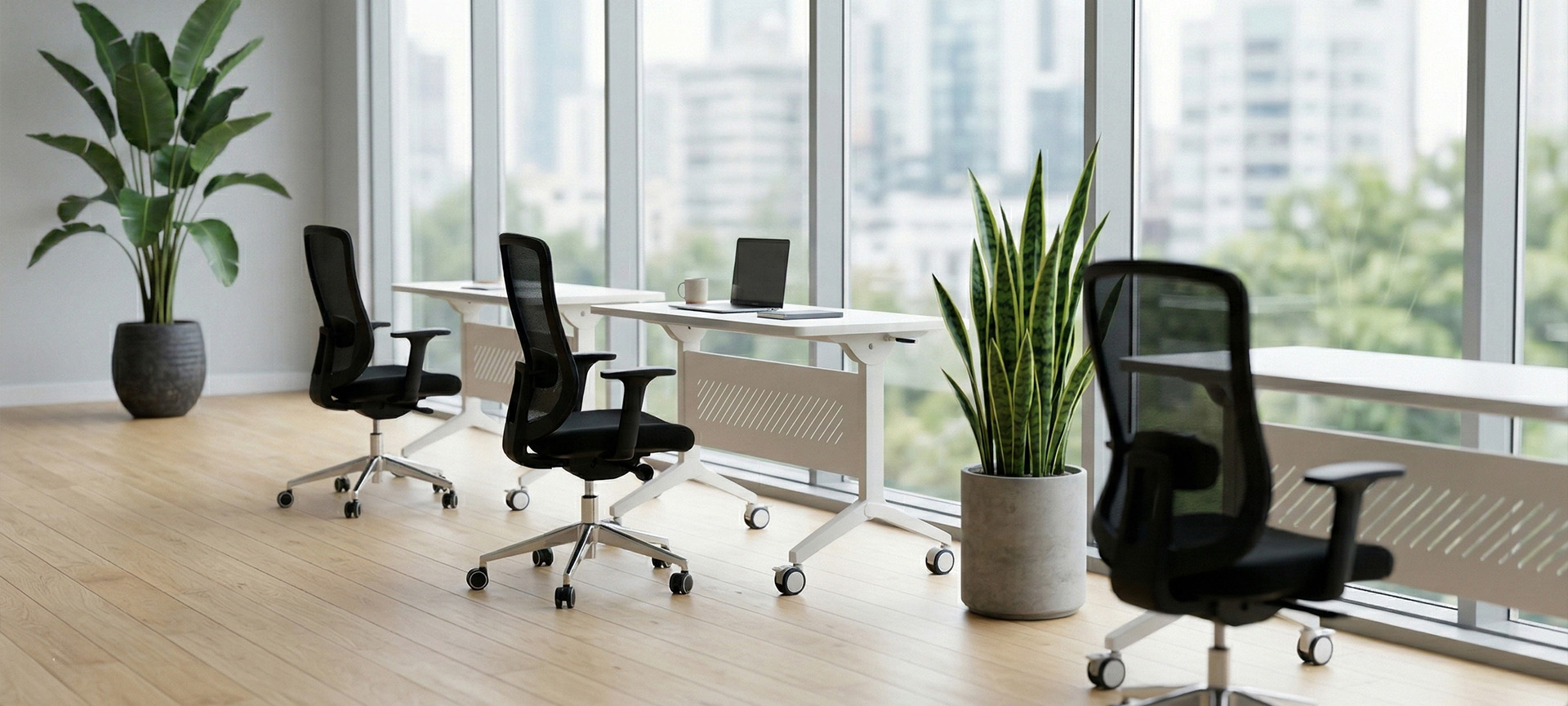 MOVE 1920x865 4 MOVE 1920x865 4