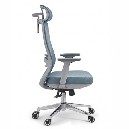 RH lateral 640x480