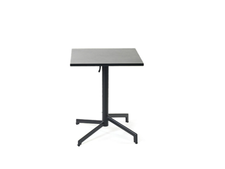 mesa Pivot