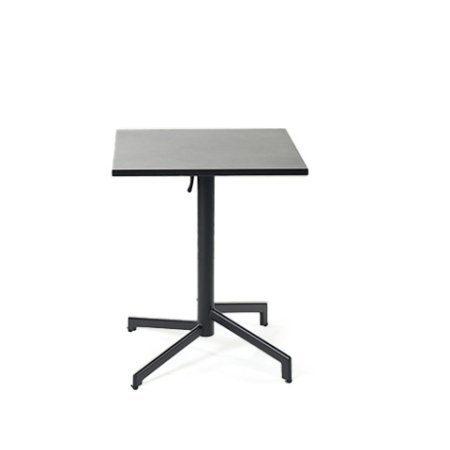 mesa Pivot